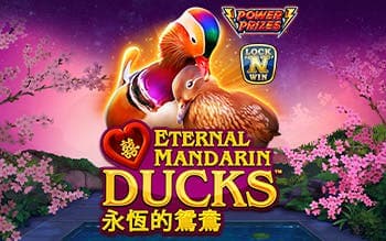 POWER PRIZES – Eternal Mandarin Duck